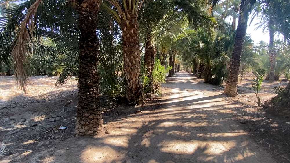 Parque Filet de Fora en Elche
