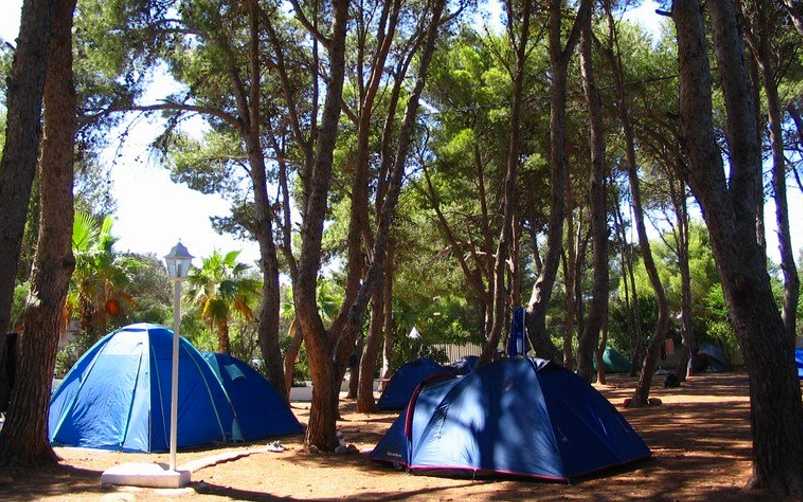 Tiendas de campaña en camping los pinos Denia