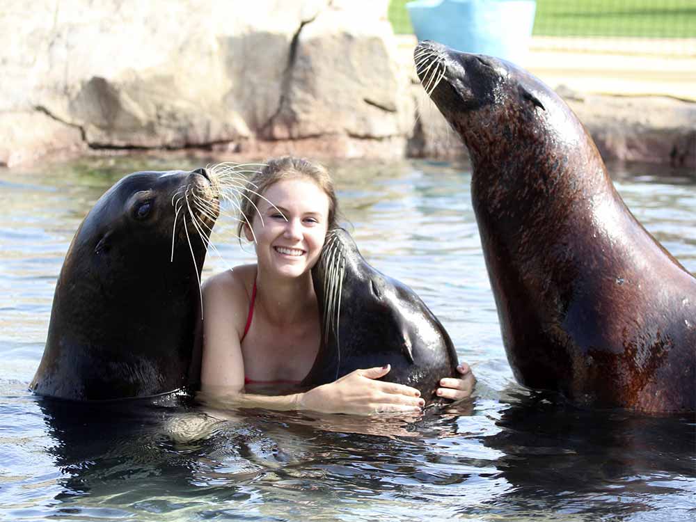 Zona de las focas en Terra natura Benidorm