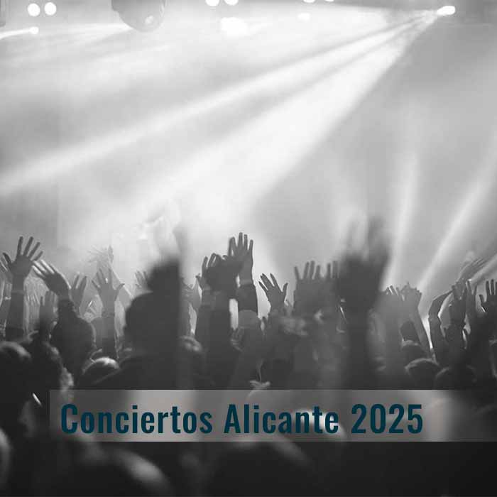 Gente viendo un concierto en Alicante