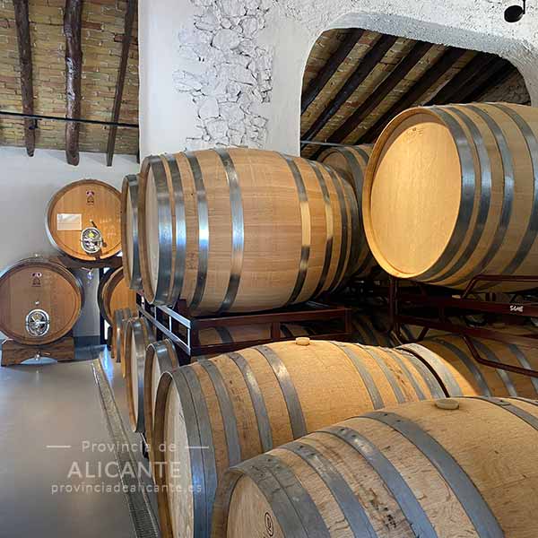 Toneles de vino de la bodega de Pepe Mendoza en Lliber