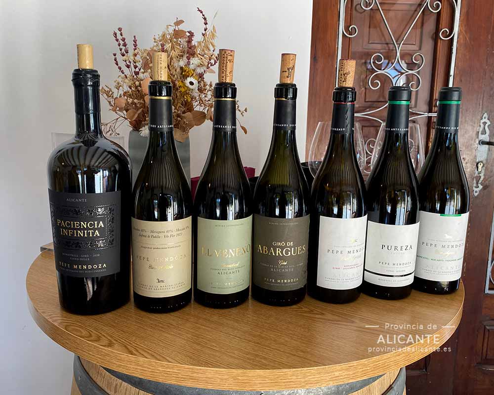 Los 7 vinos que catas en la visita a la bodega de Jalón Casa Agrícola