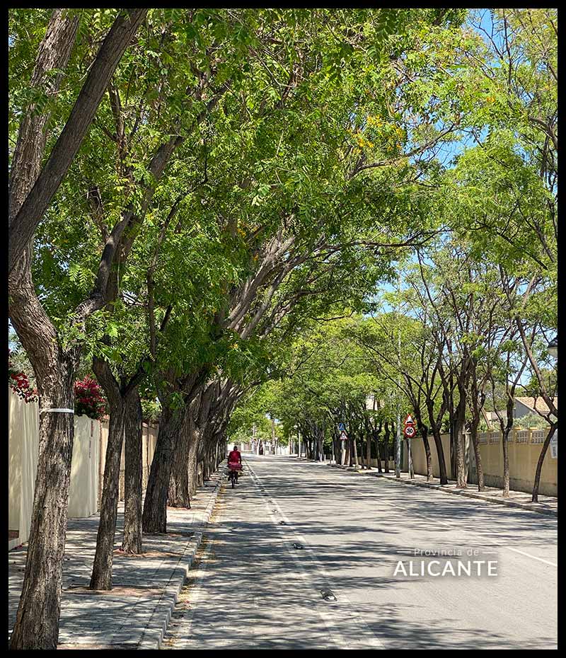 Calle Pintor Velazquez, Sant Joan d'Alacant