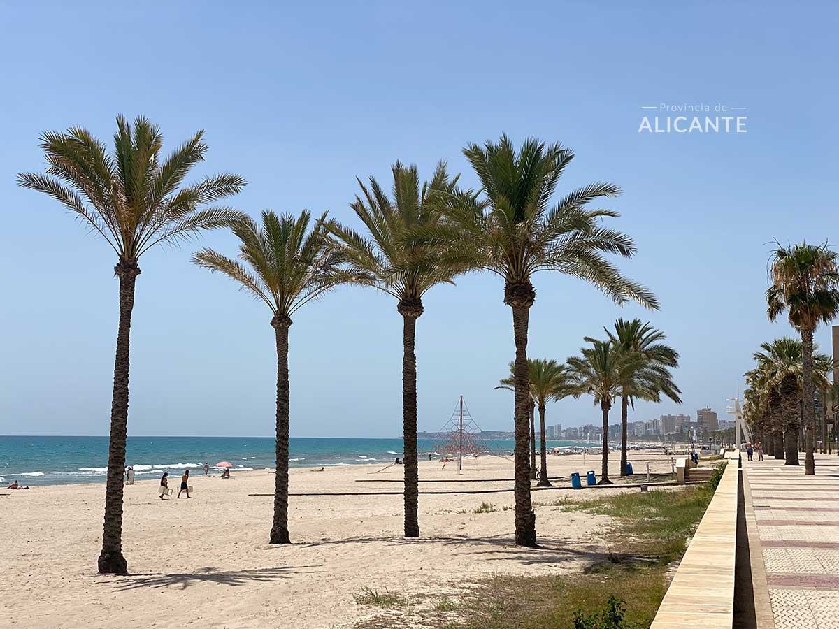 Vista general desde el paseo de la Playa de Muchavista de El Campello